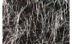 Justin - Inner Surface and Interior Layer