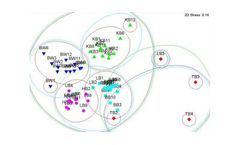 Data Processing And Analysis