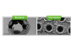 Norkem - Closed Recirculating Loop Treatment Systems