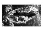 Wastewater Membrane Maintenance and Cleaning