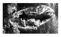 Wastewater Membrane Maintenance and Cleaning