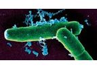 Biological Sampling Services