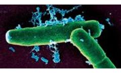 Biological Sampling Services