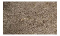Natural fiber based solutions for filtration sector