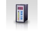 BD|Sensors - Model CIT 350 - Process Display with Contacts and Analogue Output