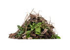 Composting
