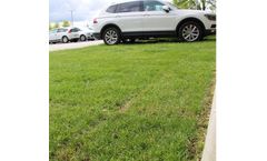 Nidaplast - Model Nidagrass NG040 - Grass Tiles