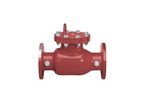 Model 1000DCV - Steel Detector Check Valves