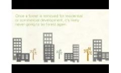 Go Paper Grow Trees Video