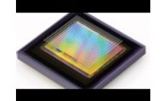 	CMOS - Model Falcon2 - Global Shutter Cameras