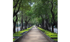 Cupolex - Landscape Architects