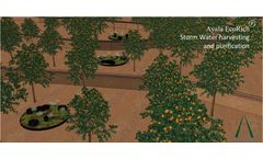 Ayala - Model Ecorich - Nature-Based Modular System for Storm Water Harvesting