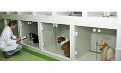 Odor neutralizing solutions for animal shelters, livestock facilities odor removal sector