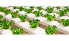 Kazanci Rielli - Ultrafiltration Water Treatment Plants for Soilless Agriculture Applications