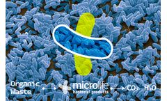 Microlife Biotech - Biotechnological and Microbial-based Products