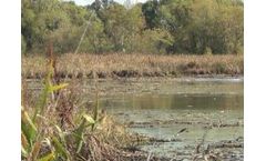 Aquatic Vegetation Shredder Restores Minnesota Wetlands