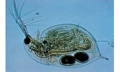 Harnessing AI for a Safer Environment