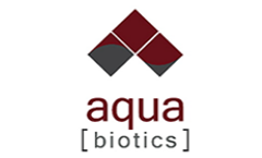 IRONKLEEN - Premium Bore Stain Cleaner