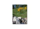 Stormwater Management System Design Services