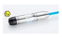 STS - Model ATM.1ST/N/Ex - Intrinsically Safe Submersible Level Transmitters