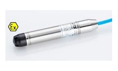 STS - Model PTM/N/Ex - Programmable Level Transmitter - 4-20mA