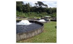 Splash - Model 1/2001 - Surface-Mounted Aerator