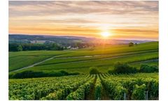 Realizing the Effects of Climate Change on Agriculture & Its Impact on Cost Adaptations