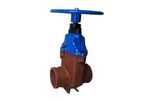 Klambon - Model FIG 600 - General Purpose Shouldered End Gate Valves