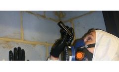 Asbestos Management