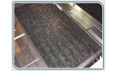 Phoenix - Backwash Troughs