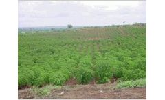Environment and Sustainable Development (ESD) Services
