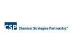 CSP Consulting Services