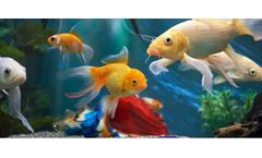 HeGo Biotech - Model FerroSorp Plus - Filter Material for Removing Phosphate and Silicate