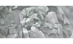 HeGo Biotech - Clinoptilolite Zeolite