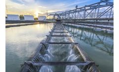 Self-Priming Centrifugal Pumps for Sewage Treatment Plant