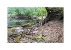 EPS - Wetlands Delineation Services