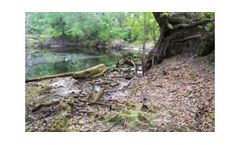 EPS - Wetlands Delineation Services