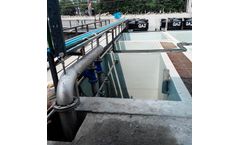 Joseph Egli - Biological Process System