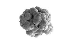 MELcat - Zirconium Hydroxides