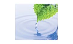 MELsorb - High Temperature Carbon Dioxide Sorbents