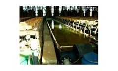 Hazardous waste treatment solutions for chlorine industry