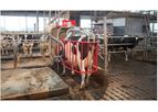 Lely - Model Cosmix - Automated Concentrate Cow Feeding System