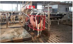 Lely - Model Cosmix - Automated Concentrate Cow Feeding System