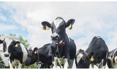 Lely - Model Qwes - Cow Activity Monitoring System
