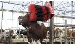 Lely - Model Luna - Cow Brush