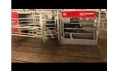 Lely Walkway footbath Video