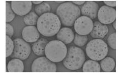 Micropore - Biodegradable Polymeric Materials for Drug Delivery