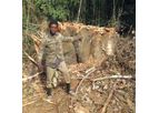 Independent Forest Monitoring (IFM) Training Materials