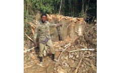 Independent Forest Monitoring (IFM) Training Materials