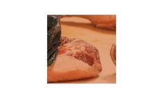 Evaporators and concentrators for cold meat